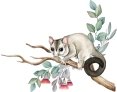 Possum Pest Control logo