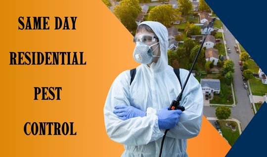 Residential Pest Control Services